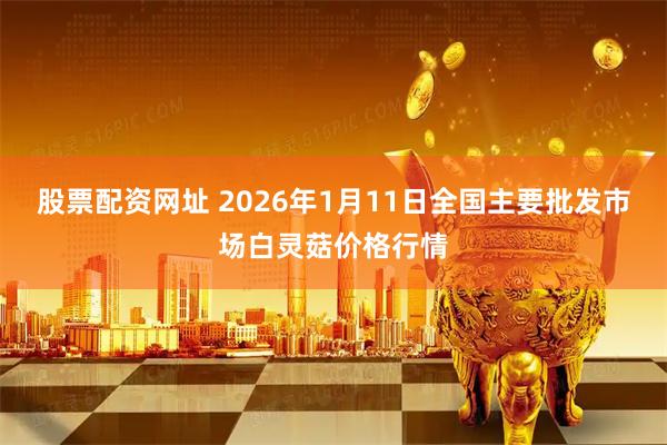 股票配资网址 2026年1月11日全国主要批发市场白灵菇价格行情